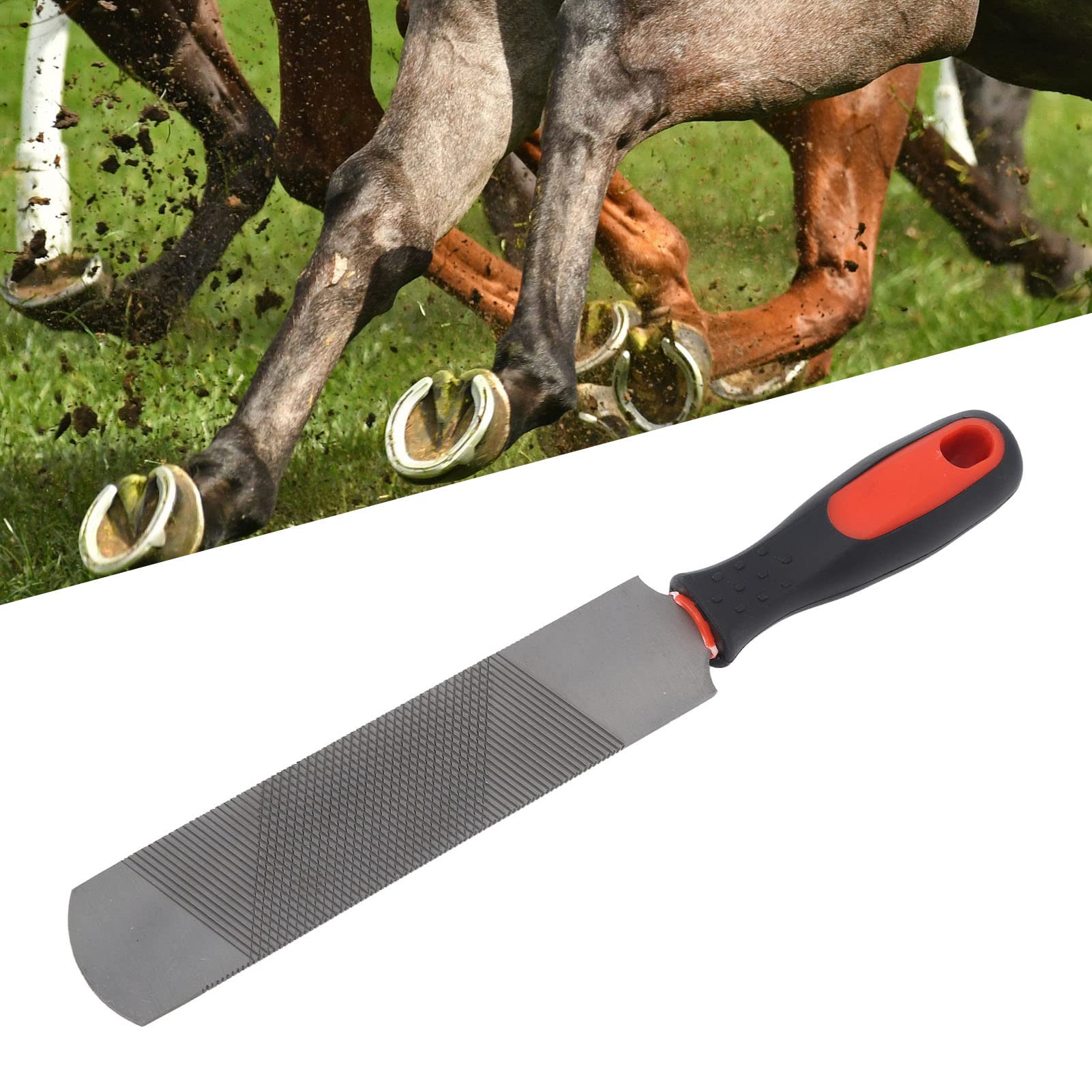 Brrnoo Hoof Rasp, Farrier Rasp File with Handle, 8 Inch Hoof Rasp, Carbon Steel Ergonomic Horseshoe File Horseshoe Trimming Tool,Farrier Hoof Rasp, with Flexible