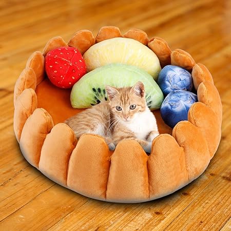 fruit tart cat