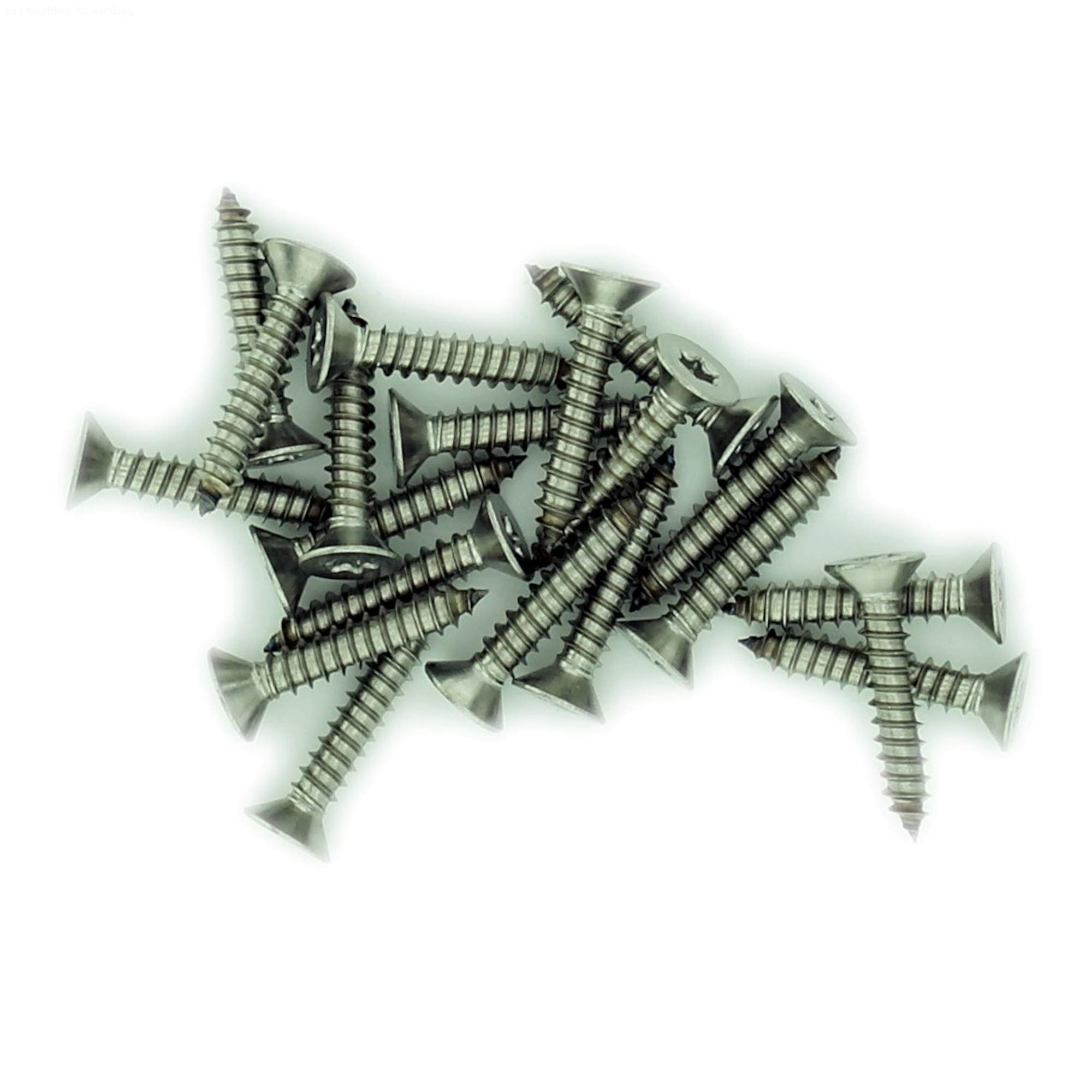 No.10 x 0.875 (4.8mm x 22mm) TX Countersunk Self-Tapping Screw - Stainless Steel (A2) (Pack of 20)