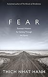 Fear: Essential Wisdom for Getting Through The Storm