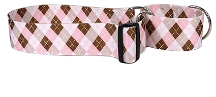 burberry dog collar amazon