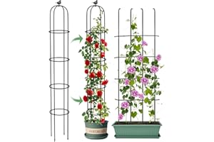 MYMULIKE 6.2ft Garden Obelisk Trellis for Climbing Plants Rustproof Metal Pipe with Heavy Duty Plastic Coated Garden Outdoor Indoor Potted Plant Support for Clematis Vine Jasmine Support