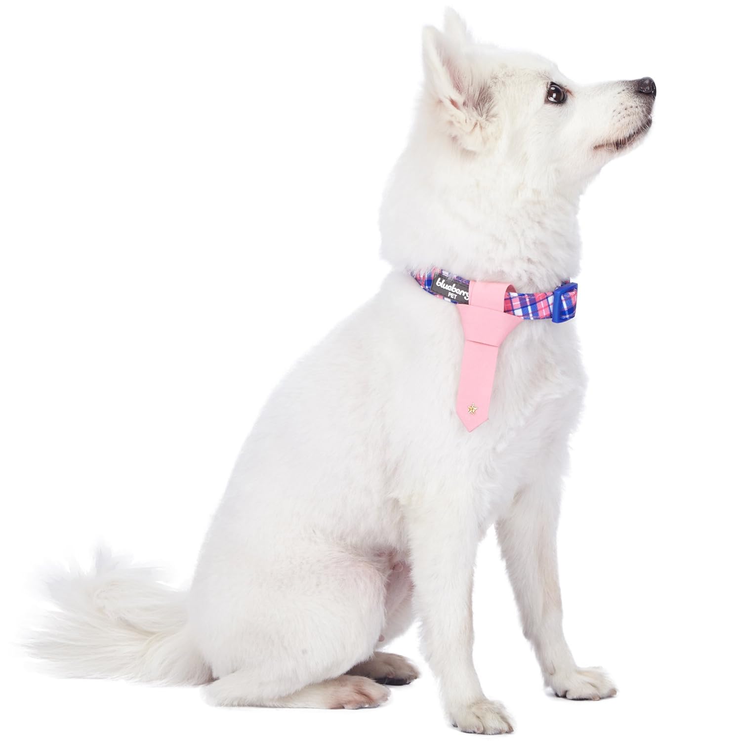 総合福袋 キャリーコンテナ トラベルセーフティ 犬猫 B07gv975yf 車座席用 ミディアム Manufacturing キャリー K H カー用品 ミディアム 最安価格 Www Aiq Aiq Com Mx