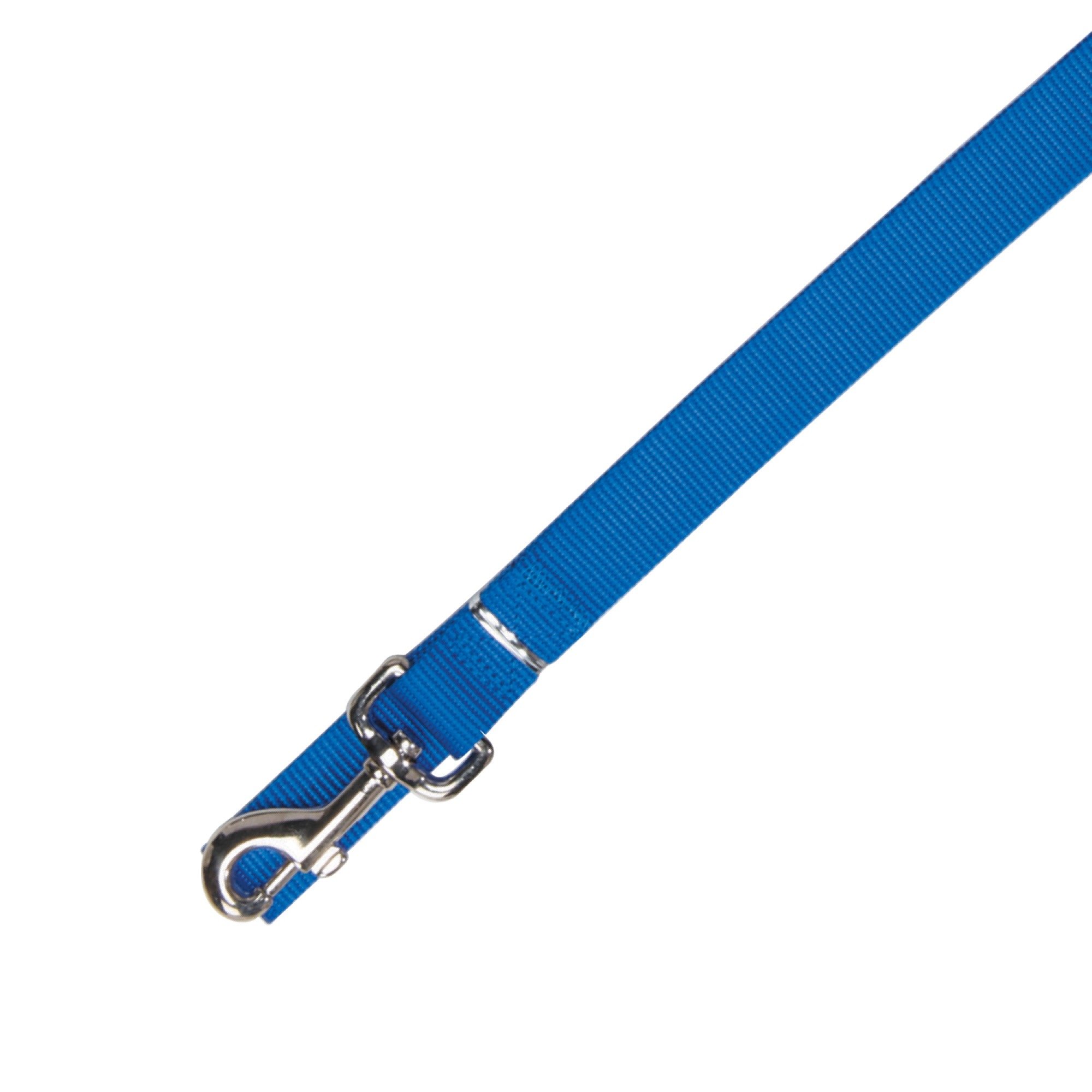 Zack & Zoey Basic Nylon Dog Leash, 4-Feet x 5/8-Inch Lead, Nautical Blue