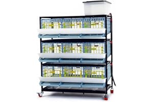 Quail Breeding Cage Indoor: 3 Layer Stackable Quail Coop, Easy Clean, Rust-Free, Easy Egg Collection (2024 Upgrades: Longer Waste Trays, Removable Middle Walls) Cimuka by Hatching Time (Traditional)