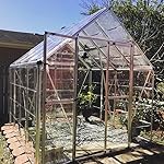 Review Image by The Saucers The Saucers