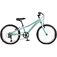 Retrospec Dart 20 & 24 Inch Hybrid Kids Bike - 7 Speed for Ages 6-11 Boys and Girls Youth Bicycle with 29" All Season Tires and Shock-Absorbing Suspension