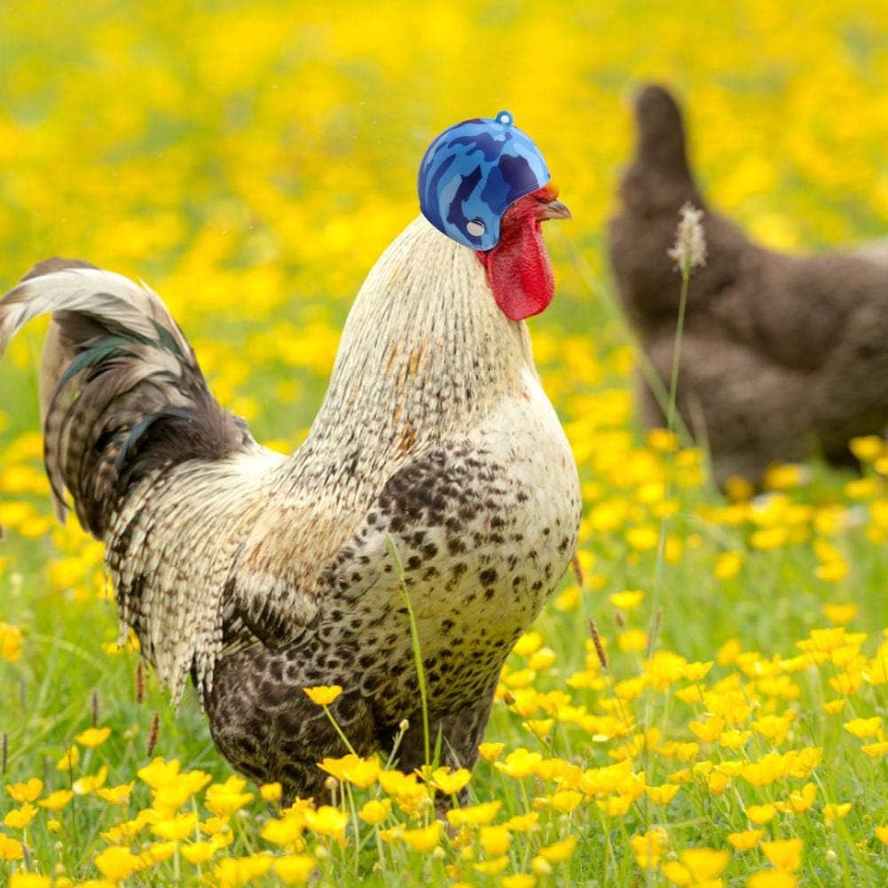 Commercio, Industria e Scienza xluckx Casco per Animali Domestici 7 Tipo di  Protezione Divertente per la Testa di elmetto di Pollo Cappello Rigido per  Gallina di Pollo Compatto 4x4,5 cm urban-earth.co.uk