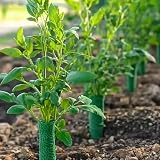 nuoshen 2 Rolls Green Hemp Garden Twine 200m 656ft Natural Jute String view 4