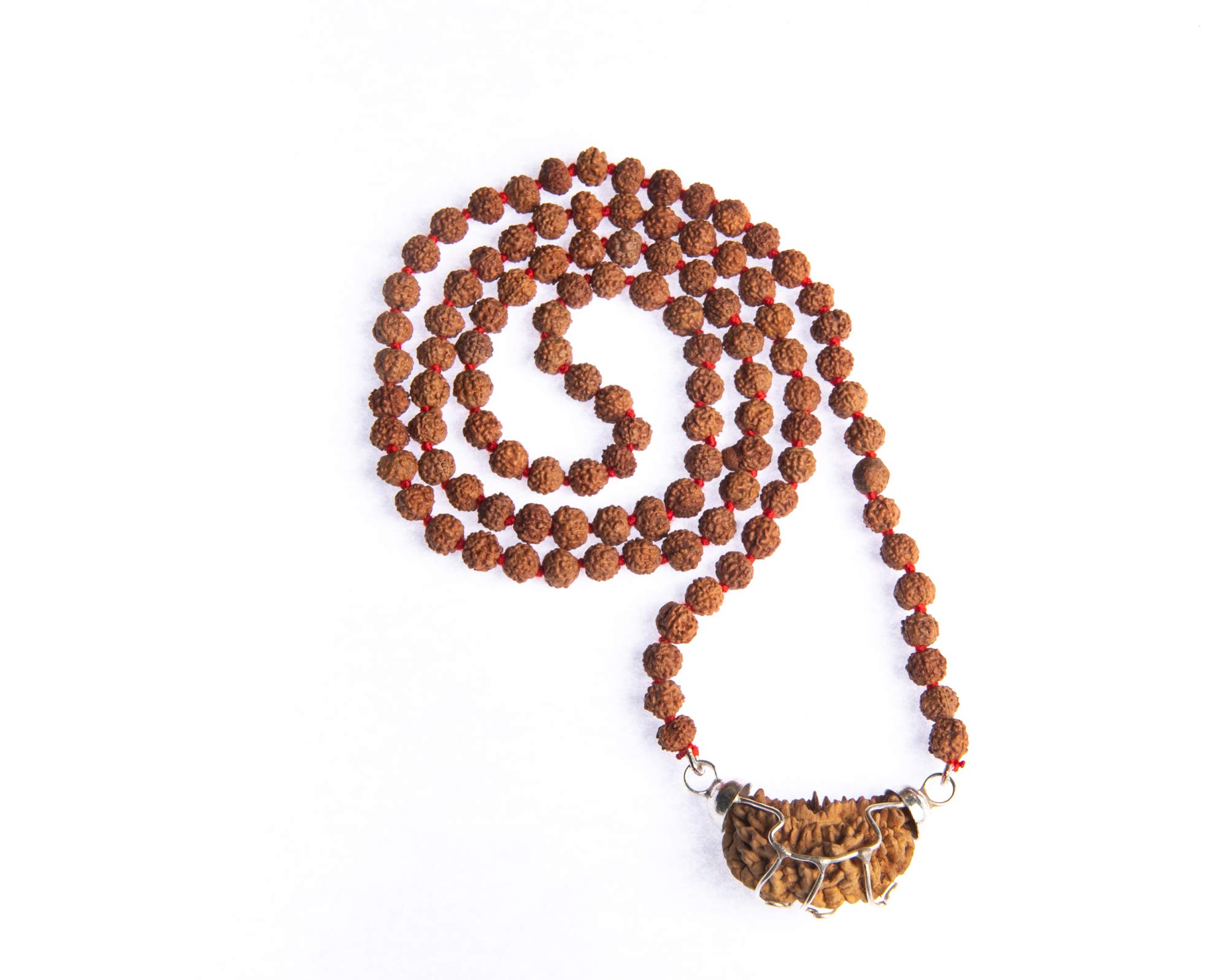 Wonder Care - Original Nepali Rudraksha Bead/Rudraksha Bead Natural Rudra Religious Rosary Bead… — image 1