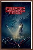 Trends International Netflix Stranger Things