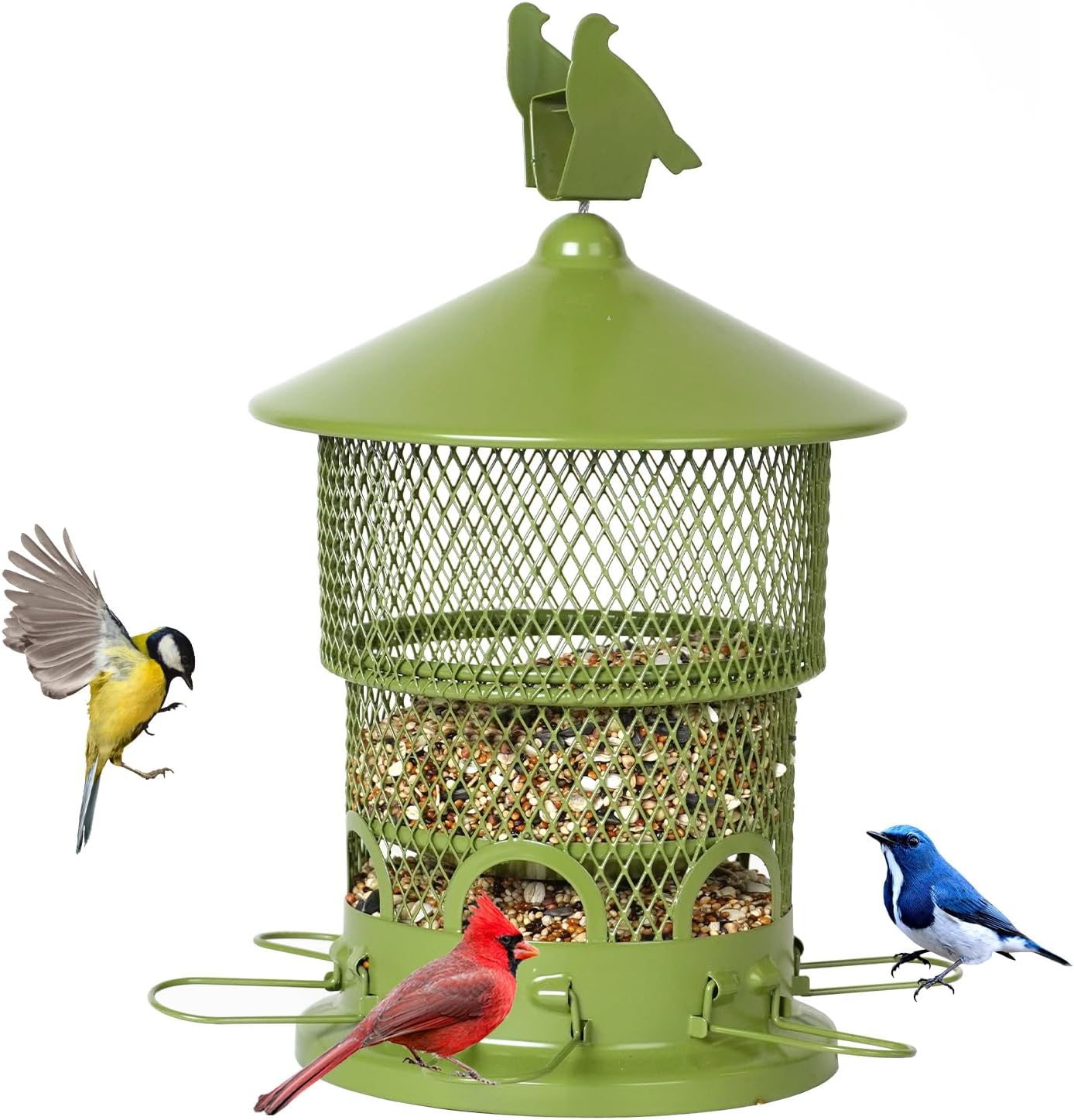 Backyard Birding & Wildlife - Digipettor Metal Bird Feeders for Outside, Squirrel Proof Bird Feeders for Outdoors Hanging with 6 Perches, 4 lbs Capacity, Attracts Cardinals, Finches, Sparrows, etc - Green
