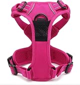 Truelove TLH5651 No-Pull Reflective Dog Harness Fuchsia Large view 5