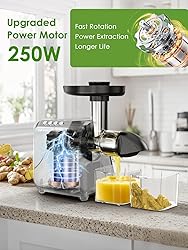 Cold Press Juicer for Celery Carrot