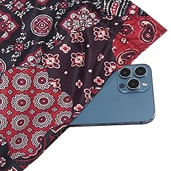 DIOTSR Mens Mesh Paisley Shorts, Casual Retro