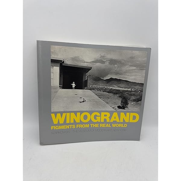 Amazon.com: The Man in the Crowd: The Uneasy Streets of Garry