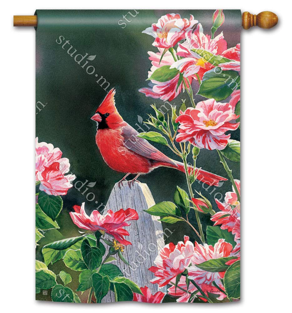 BreezeArt Studio M Cardinal with Variegated Roses Decorative Standard House Flag Banner – Premium Quality, 28 x 40 Inches