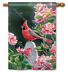 BreezeArt Studio M Cardinal with Variegated Roses Decorative Standard House Flag Banner – Premium Quality, 28 x 40 Inches