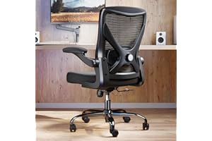 ERGALITHIC Ergonomic Office Chair with Lumbar Support - Adjustable Computer Desk Chairs for Home Office, Gaming, and Work - Comfortable and Supportive Desk Chairs for Adults (Black)