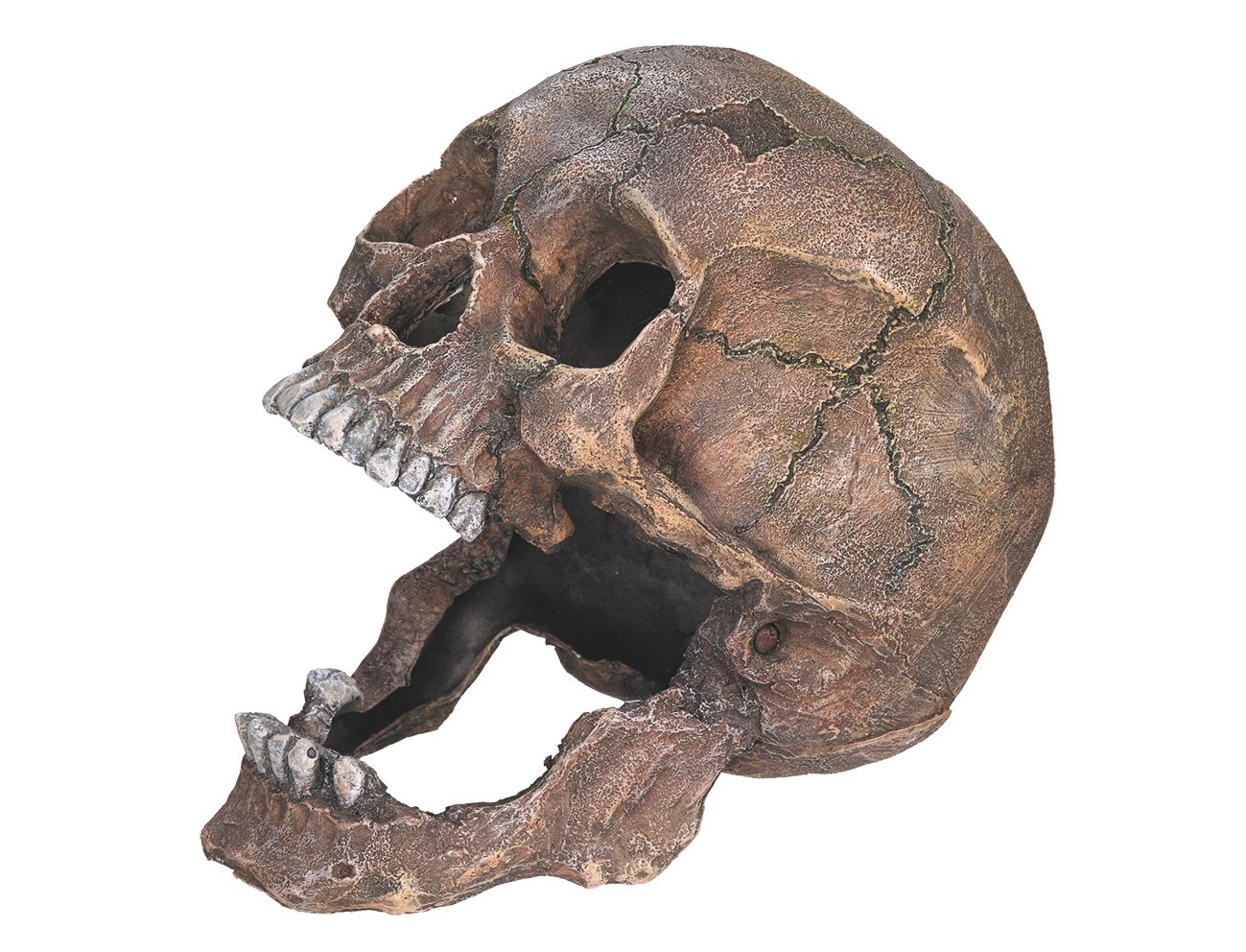 Nobby Skull Aquarium Ornaments, 13.5 x 20 x 16.5 cm