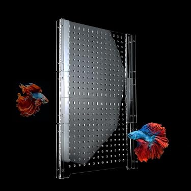 commercial fish box divider Amazon Best Sellers: Best Aquarium Décor Tank Dividers Abu Garcia Black Max Set up a breeding Rod Size:10ft 4-Piece fishon fishing