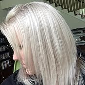 Amazon Com Blond Brilliance Champagne Perfect Blond Ammonia Free