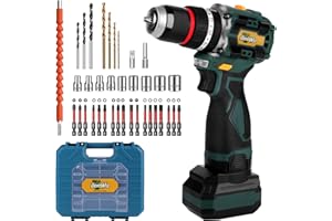 DentWiz Cordless Drill Kit BLDC Motor Power Drill with 24 Torque Settings and 2-Speed, 450-2000 RPM, 3000mAh Battery, Electric Power Drill with Drill Bits and Accessories for Home DIY and Woodworking