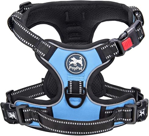 light blue dog harness