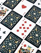 Bicycle Bicycle Aviary Playing Cards Deck Air Cushion Finish Black Green view 6