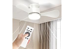 Hisummer 28 Inch Small White Fan with Light and Remote, Modern Reversible Flush Mount Fan for Bedroom, Kitchen, Patio, Indoor/Outdoor (White)