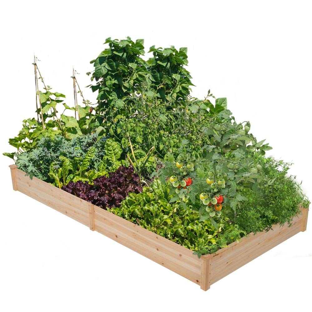 Best Garden Bed Kit 3X6