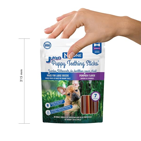 N-BONE JUMBO PUPPY TEETHING STICKS PUMPKIN FLAVOR DOG TREATS, 7 COUNT 7.28-OZ BAG