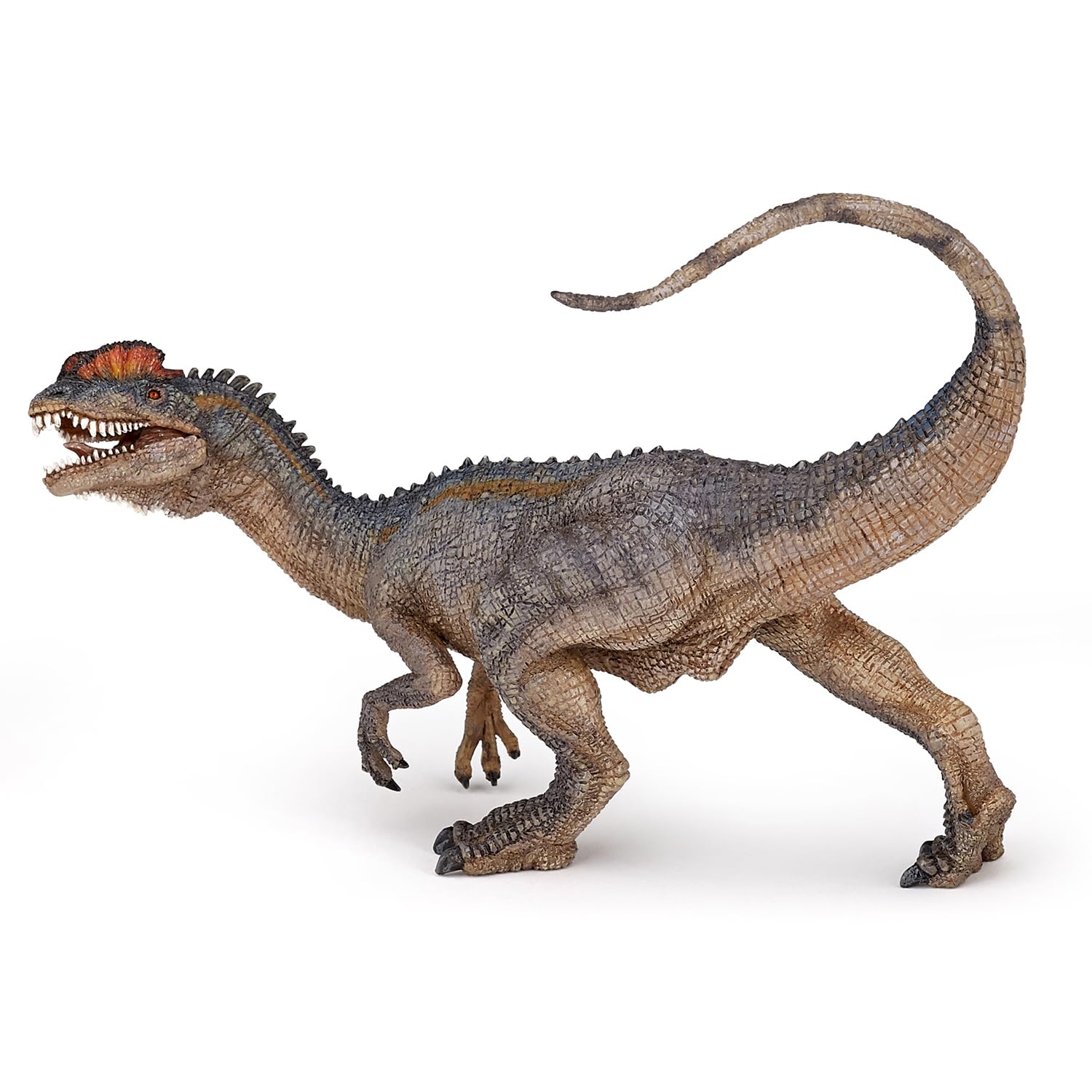 Papo - Realistic Dilophosaurus Figure Toy for Kids - Ages 3+ - Dinosaurs Collection - Educational Play Prehistoric World - Gift Idea Toy for Girls and Boys - 14 Cm X 4.5 Cm X 13 Cm