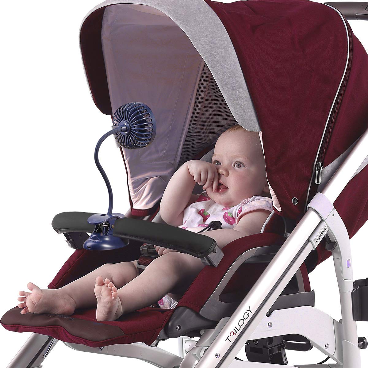 The Top 5 Stroller Fans