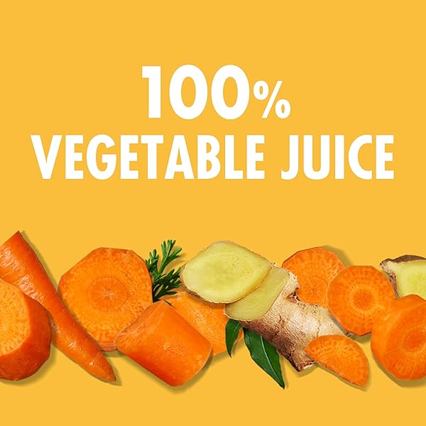 V8 CARROT GINGER 100% VEGETABLE JUICE, 46 FL OZ BOTTLE