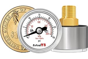 AetralYB Mini1 Inch Pressure Gauge, 0-30 Psi Air Gauge, Stainless Steel Case, 1/8" NPT Back Mount, Pressure Gauge for Water Air Pressure Test