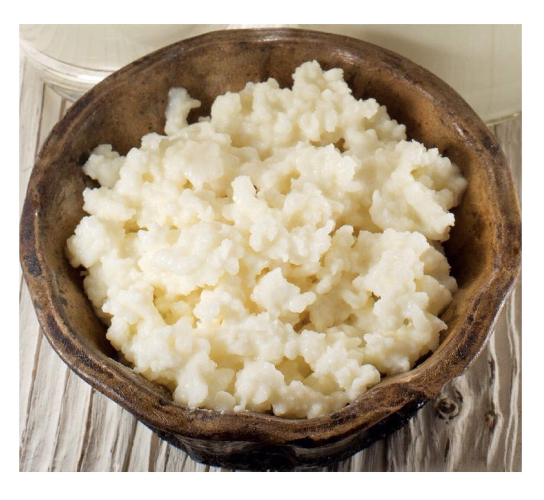 Choose Any Two Milk Kefir Grains Fresh Buy Online In Canada At Desertcart