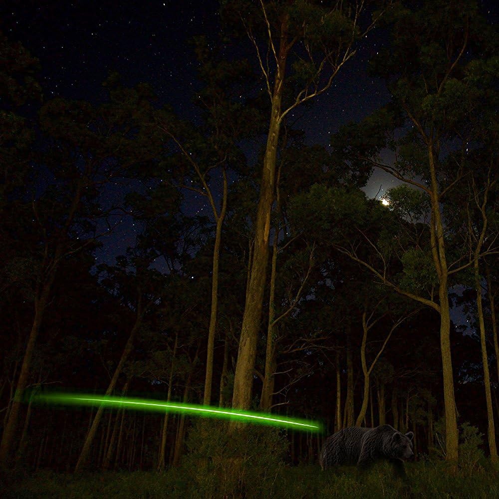 XHYCKJ 6PCS S Led Lighted Nocks for Arrows with .244" Inside Diameter, Screwdriver Included (Green) : Sports & Outdoors