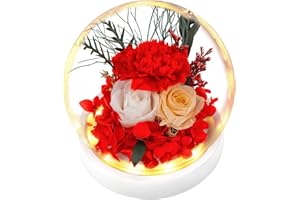 TGELATA Flowers, Roses, Gift - Forever Roses Flowers Bouquet - Fresh Flowers for Delivery Prime to Show Love - Preserved Flowers Birthday Gift for Women, Unique for Mothers Day & Christmas - Battery Included