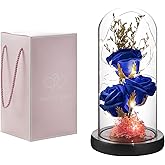 oridom Preserved Flower Gift, Light Up Rose in Glass Dome, Eternal Forever Rose Flower Gifts for Her, Grandma, Mother’s Day, Valentine’s Day, Anniversary, Birthday, Christmas Decorations, Blue