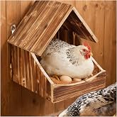 Matutinus Chicken Nesting Boxes, Wall-Mounted Wooden Nesting Box,Specialized for Chicken Coops, Features a Cozy &amp; Private Laying Space, Suitable for Chickens, Ducks and Other Poultry