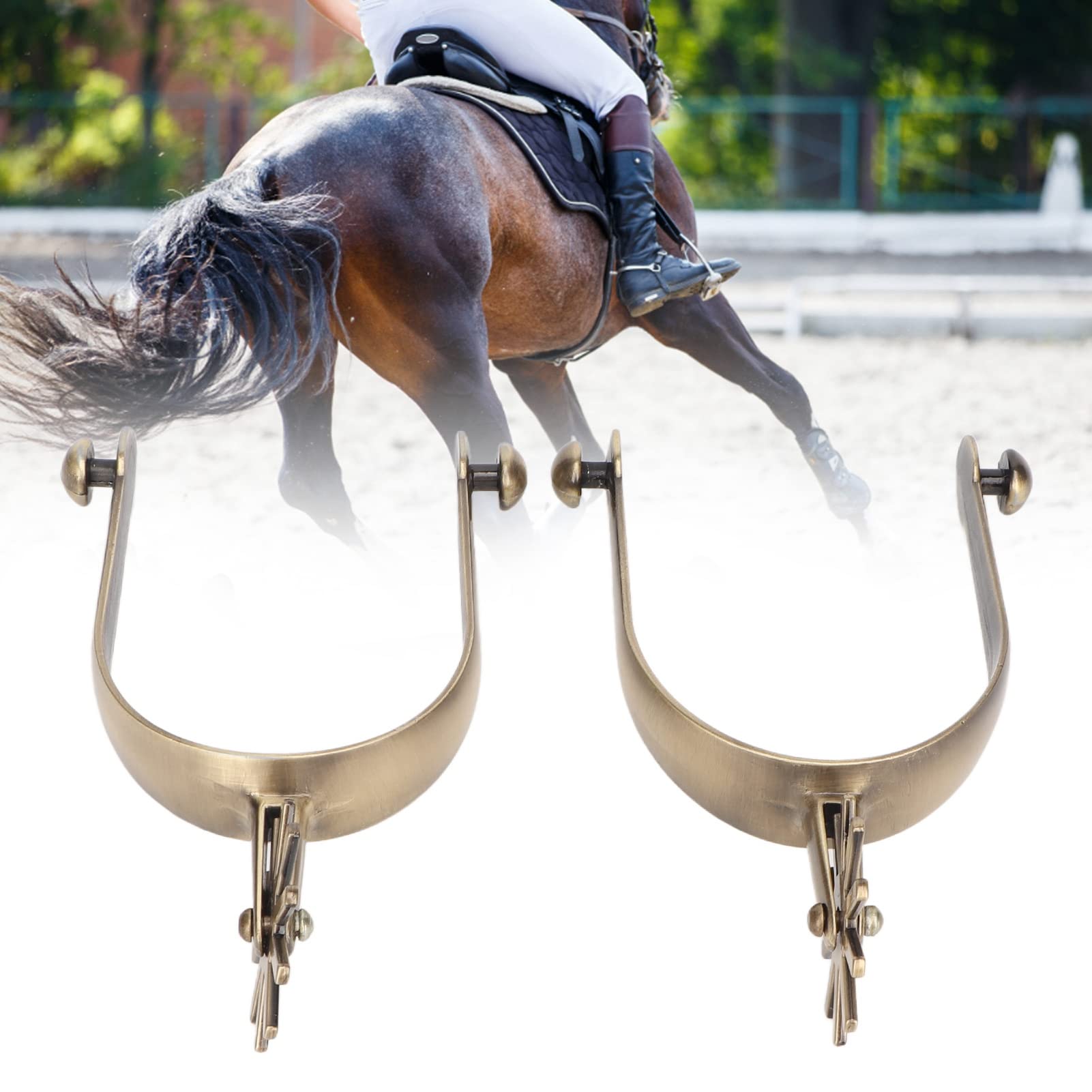 EIMSOAH 2PCS Spurs, Zinc Alloy Vintage Carved Spurs, Roping Horse Spurs, Professional Horse Spurs with Gear, for Equestrian Competition Entertainment