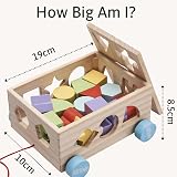Jaques of London Wooden Shape Sorter for Toddlers Montessori Toy view 2