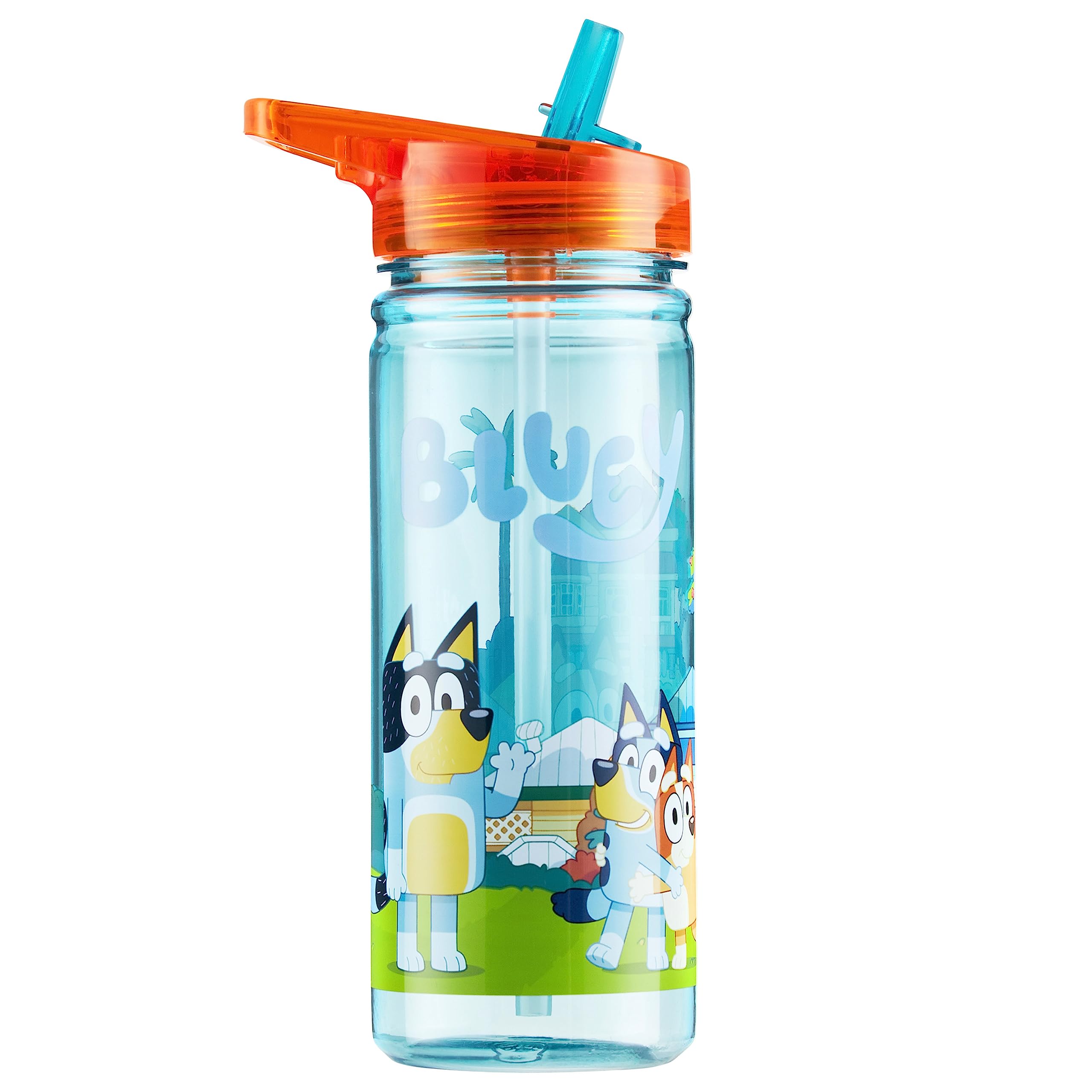 Bluey Kids Water Bottle, Refillable Bottle with Straw for Travel 580ml (Multi Straw Bottle)