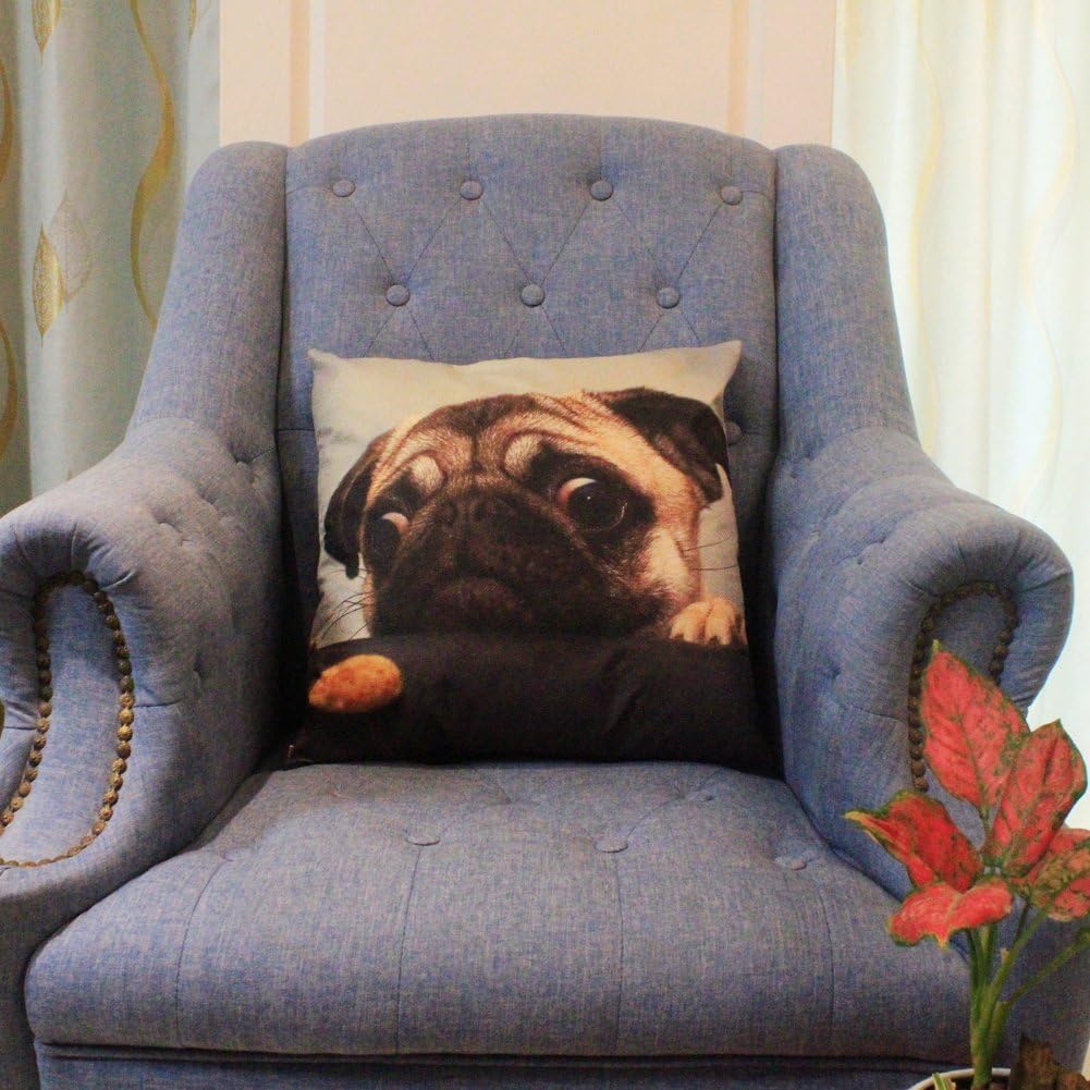 Amazon Com Longshengv Decorative Throw Pillow Covers Pug Dog