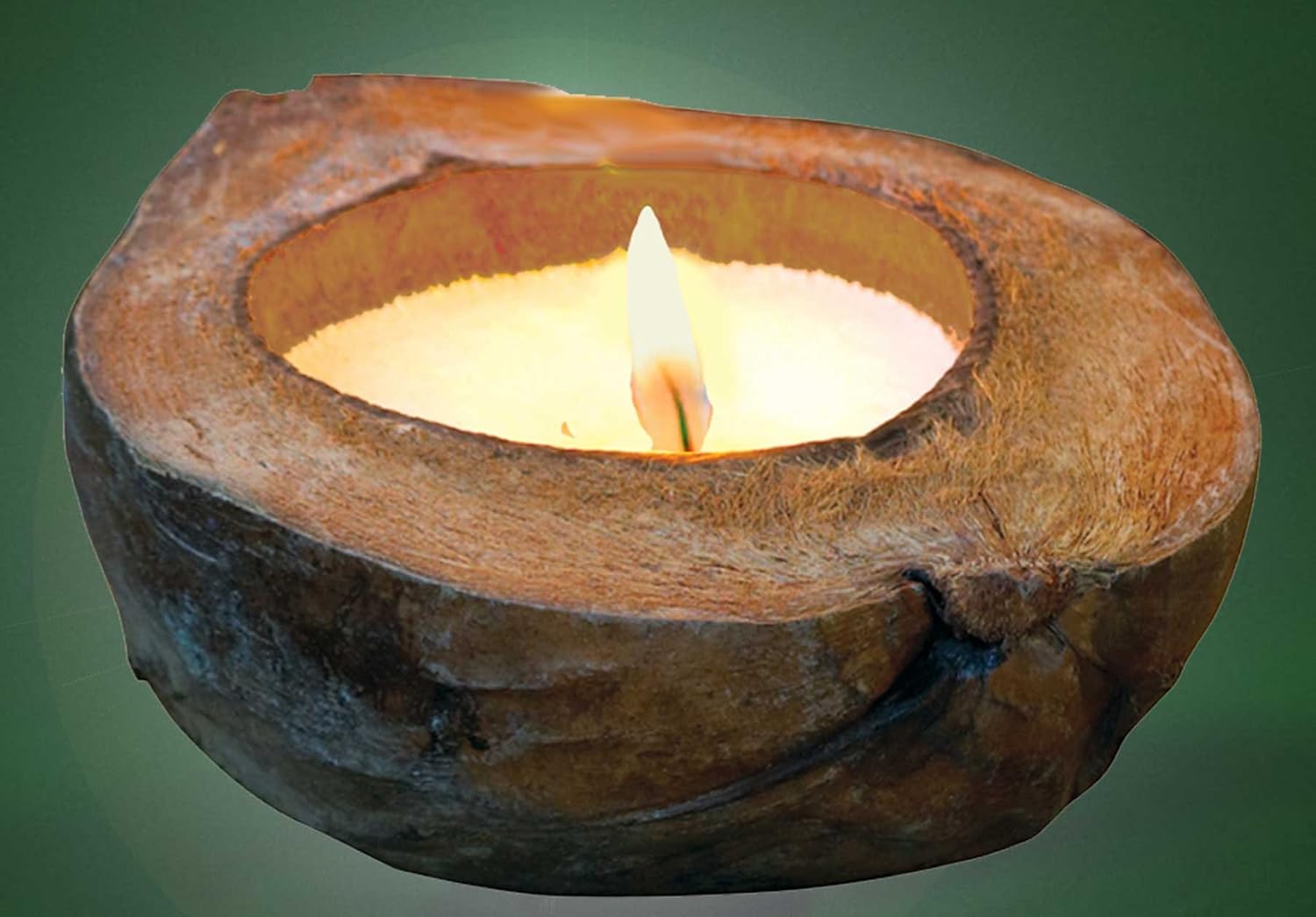 Candle Holder in Natural Coconut Ball "Jungle" handmade Coconut candle