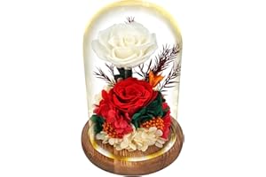REGALO FLOR Forever Flowers Roses Gift for Women - Flower Bouquets Long-Lasting Floral Gift for Love & All Occasions-Fresh Flowers Forever Roses - Birthday Gift for Women, Thank You, Christmas, Home Décor