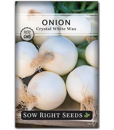 Amazon.com : Eden Brothers Onion Seeds (Bunching) - Tokyo Long