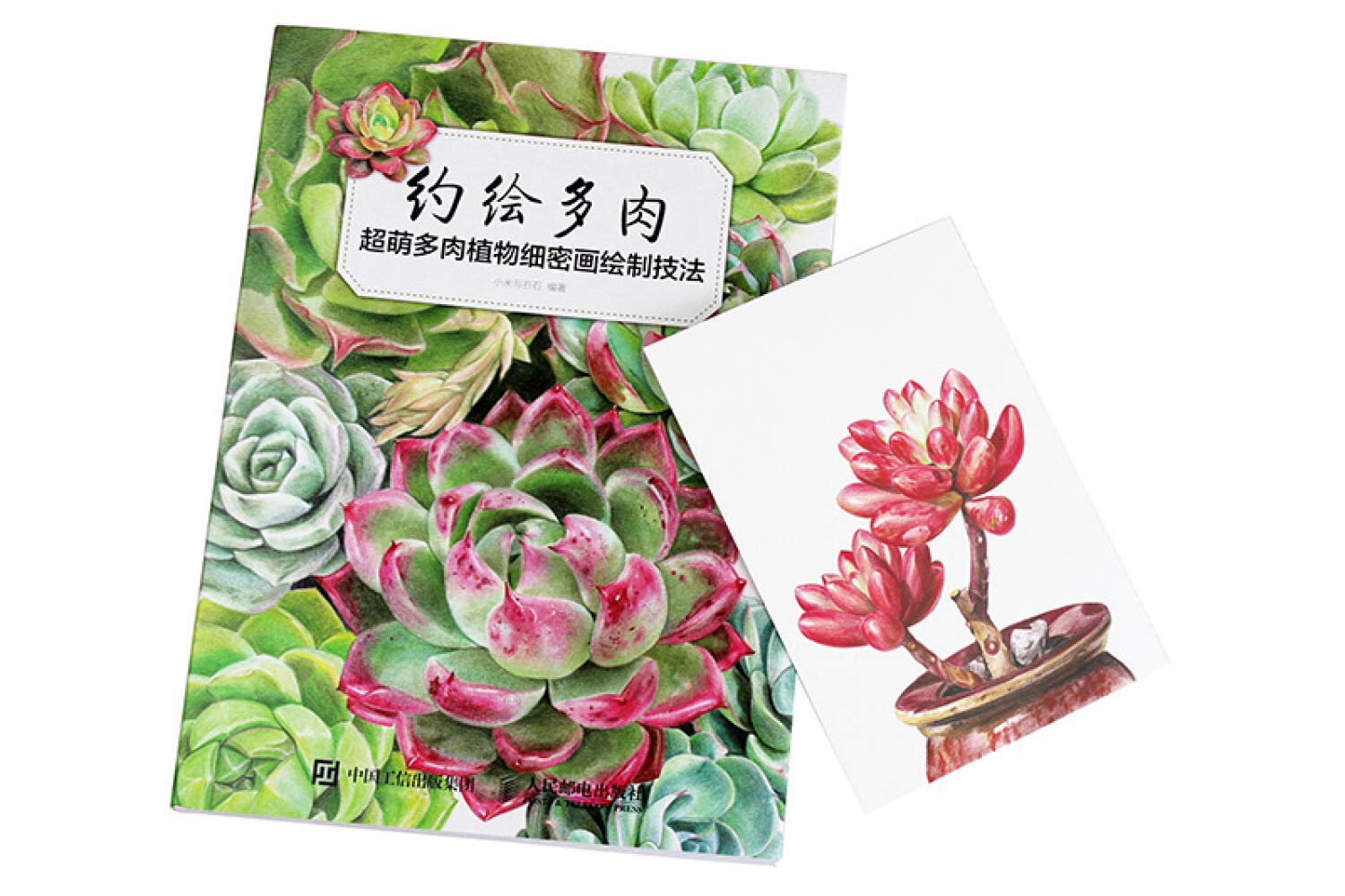 约绘多肉 超萌多肉植物细密画绘制技法 小米与石石 Amazon Com Books