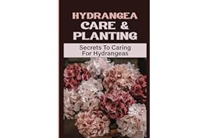 Hydrangea Care & Planting: Secrets To Caring For Hydrangeas: Hydrangea Care Indoors